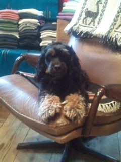 2011-11-27 paleo2.jpg